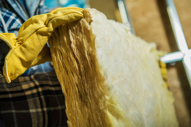 Best Insulation Maintenance and Repair in Broadlands, VA